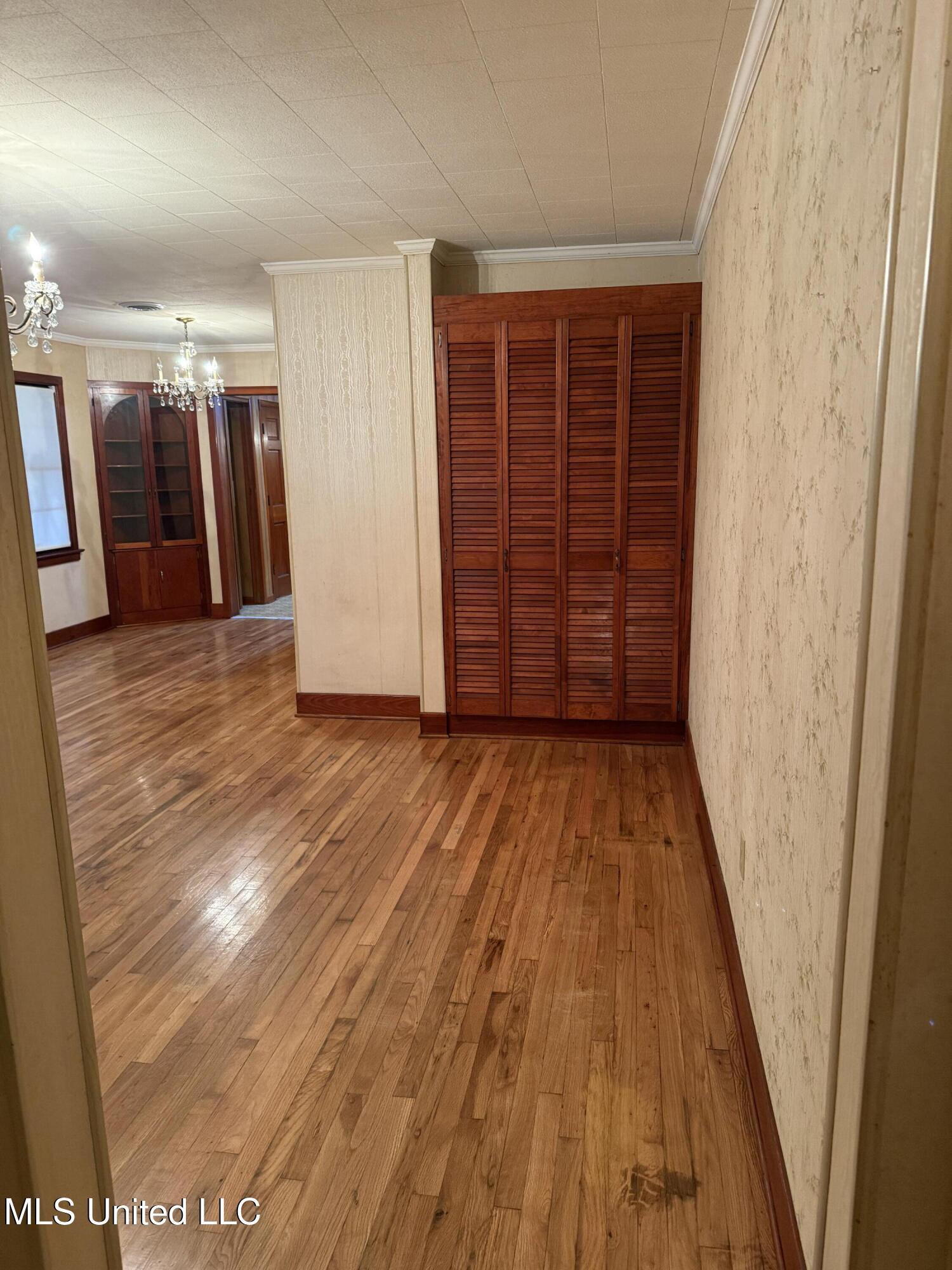 Image 3: IMG_0129