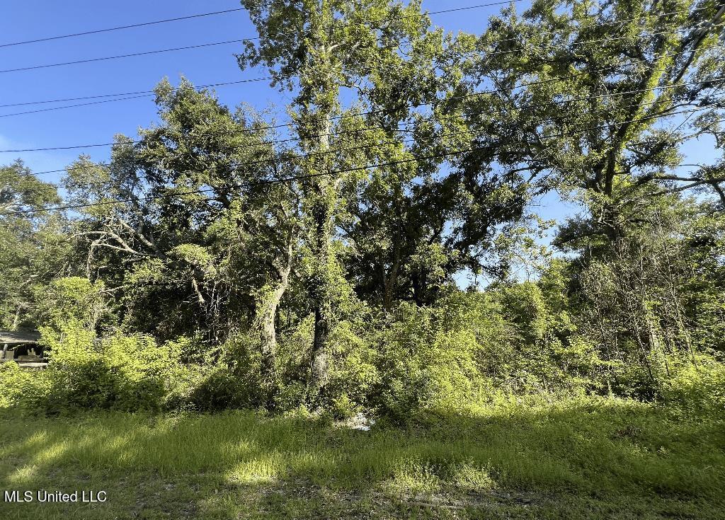 Image 3: 02