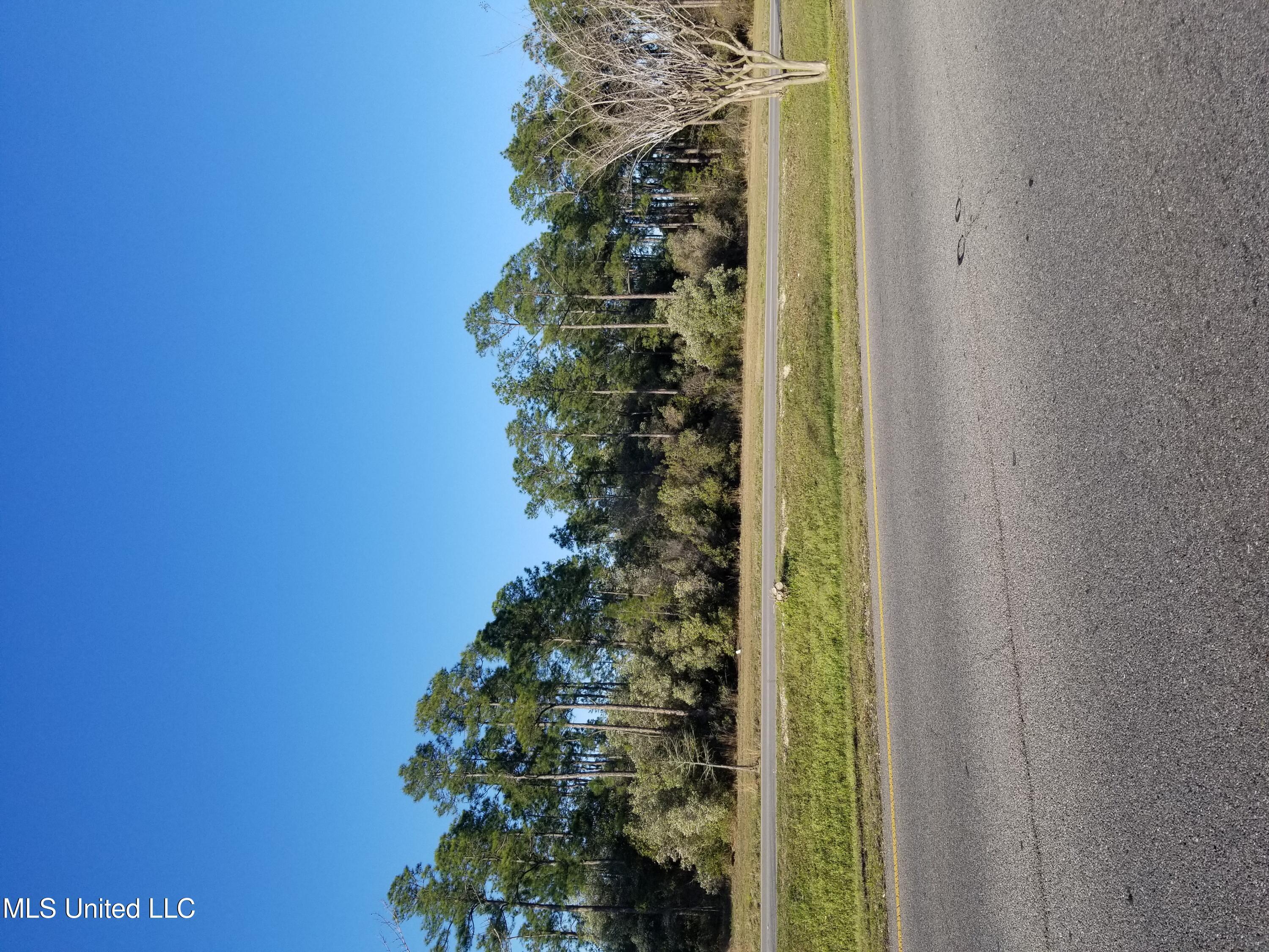 Image 1: HWY 90 VIEW