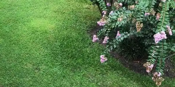 Image 3: 20210821022837629981000000-o
