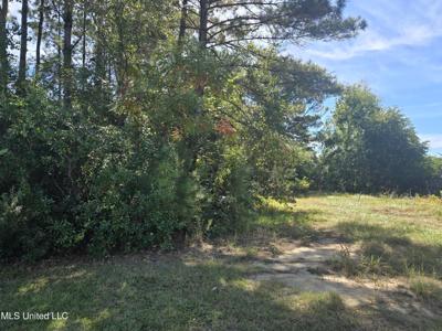 1033 Live Oak Drive