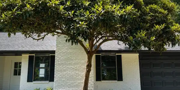 Image 2: Exterior 2