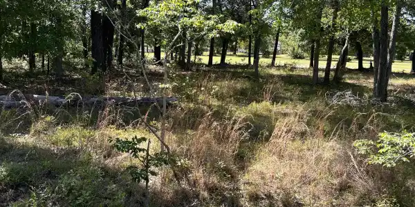 Lot 10 Poinsetta Loop
