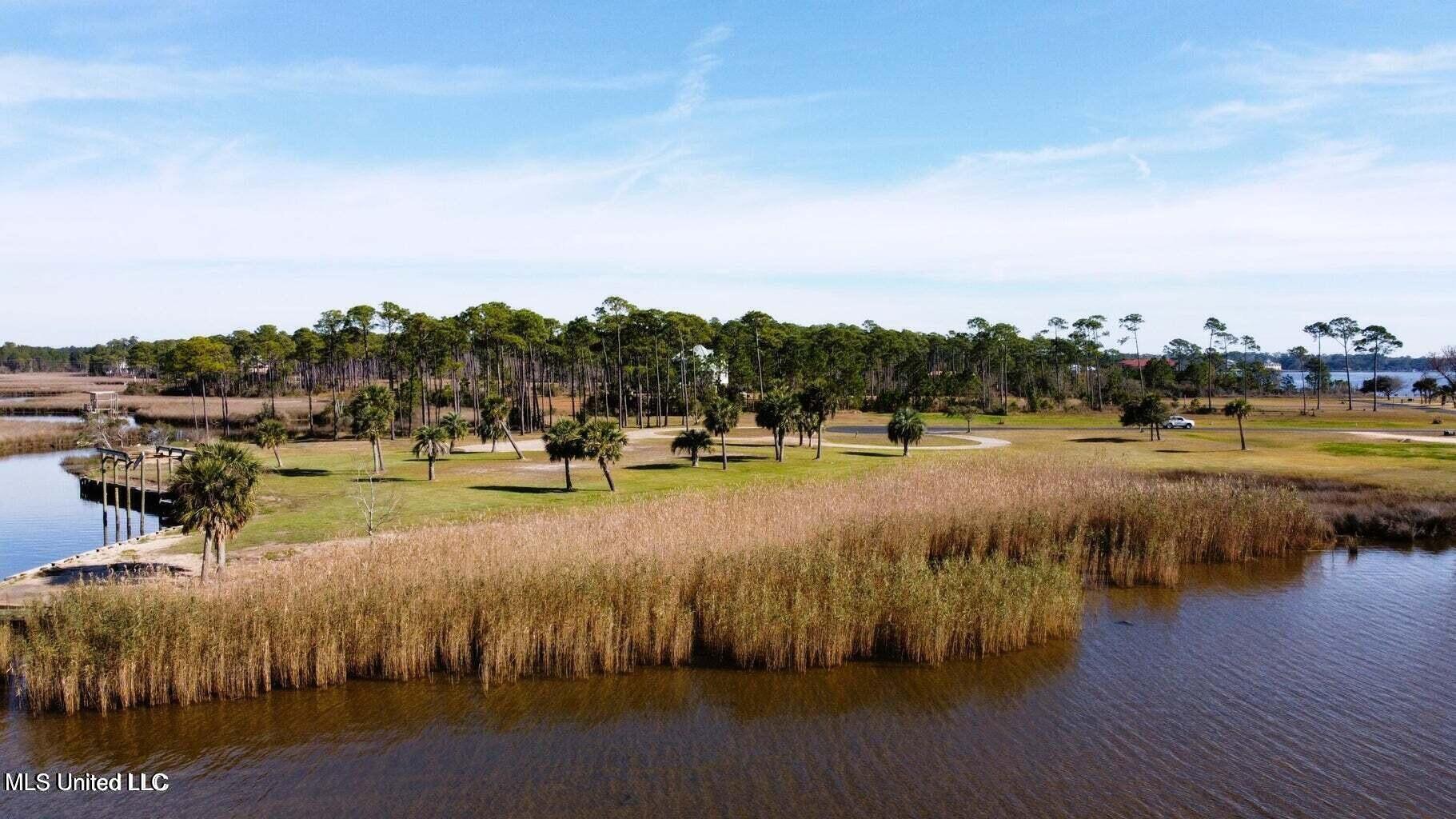 Image 3: Coastal/Marsh Life