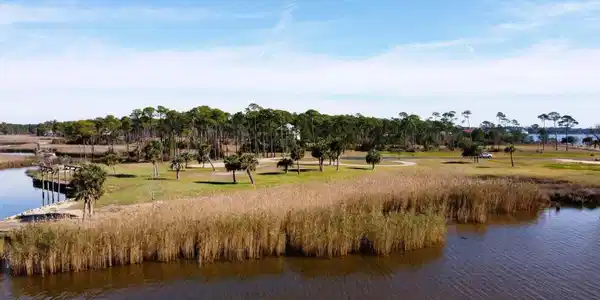 Image 3: Coastal/Marsh Life
