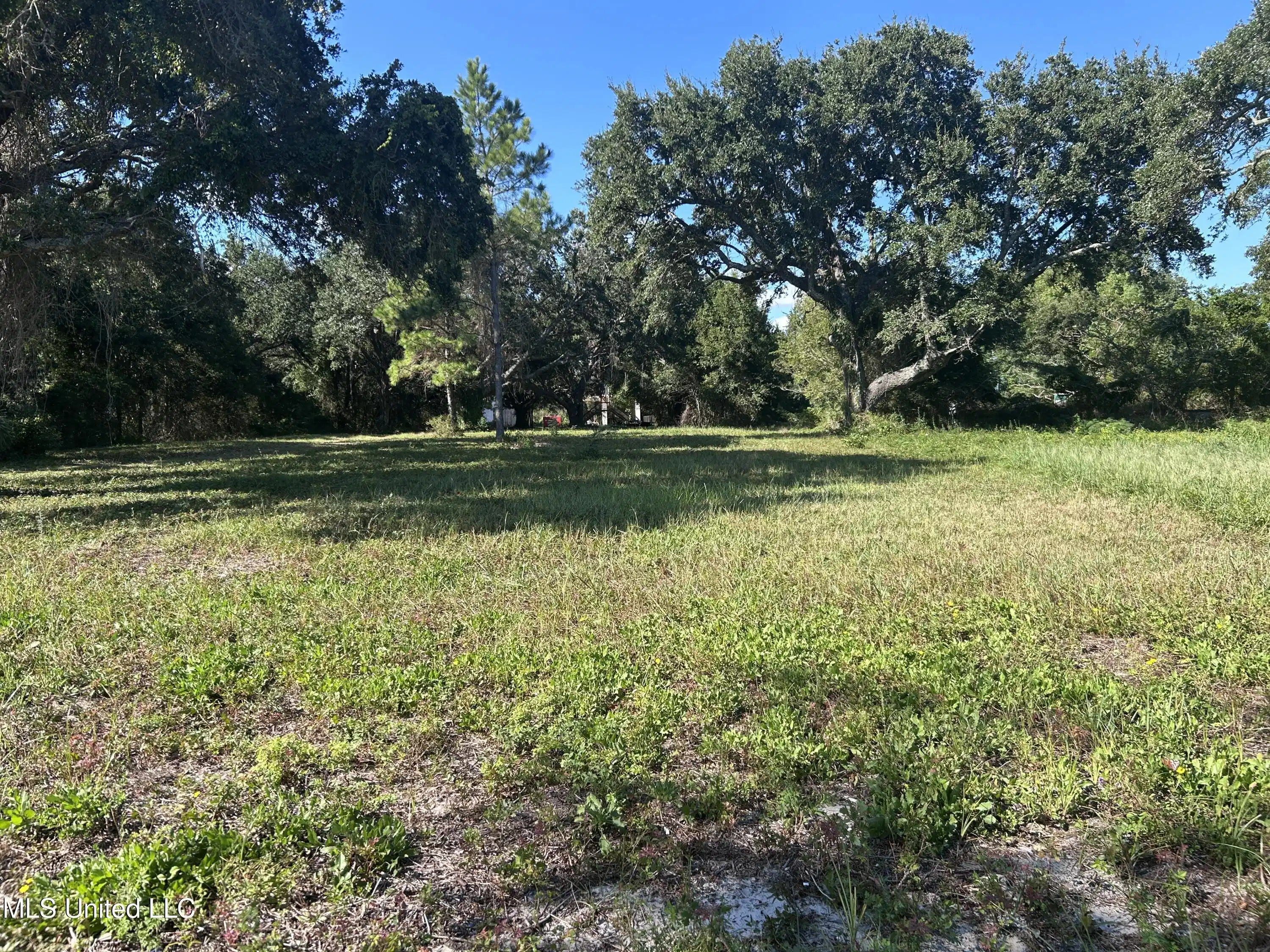 Image 1: lot