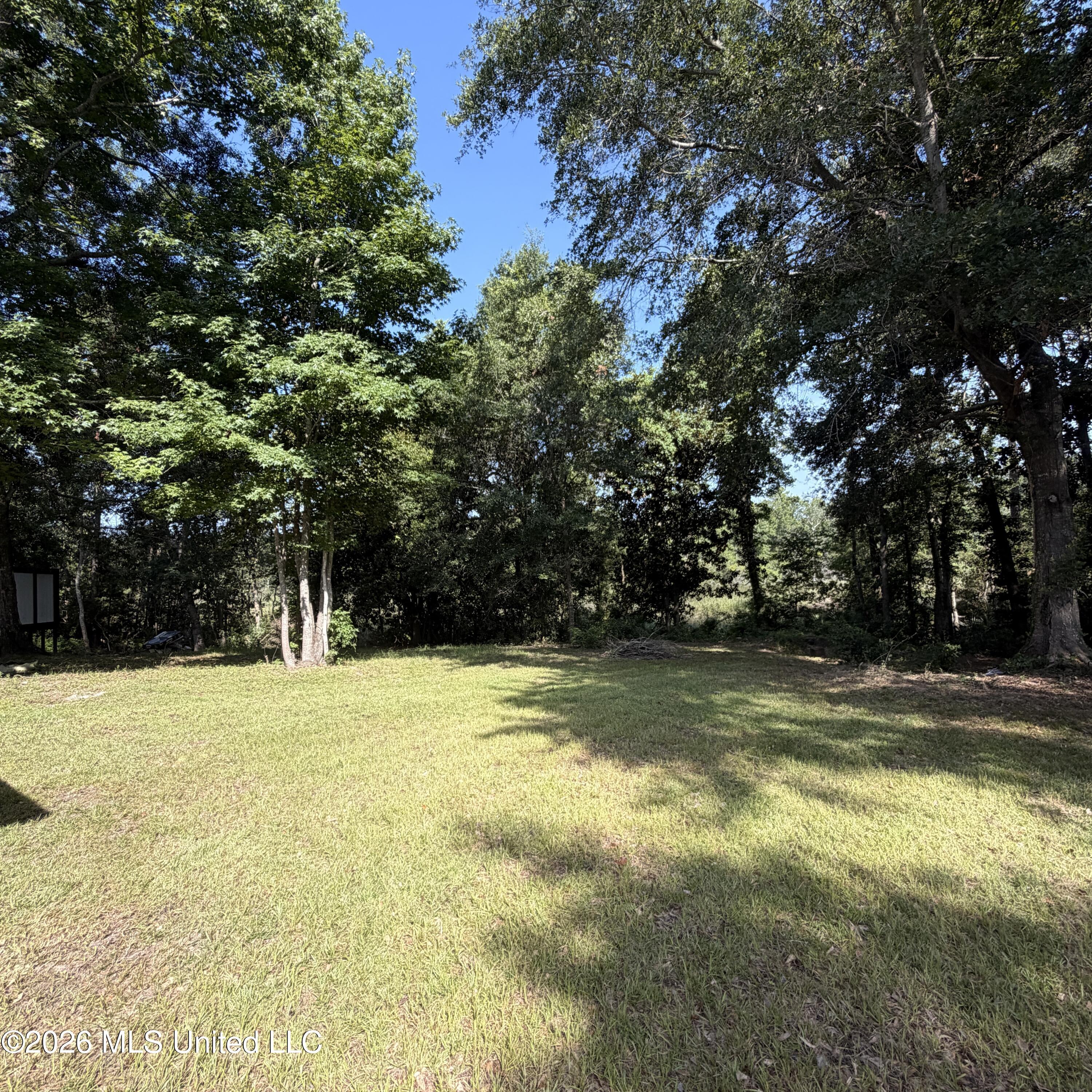 Image 3: D'Iberville MS