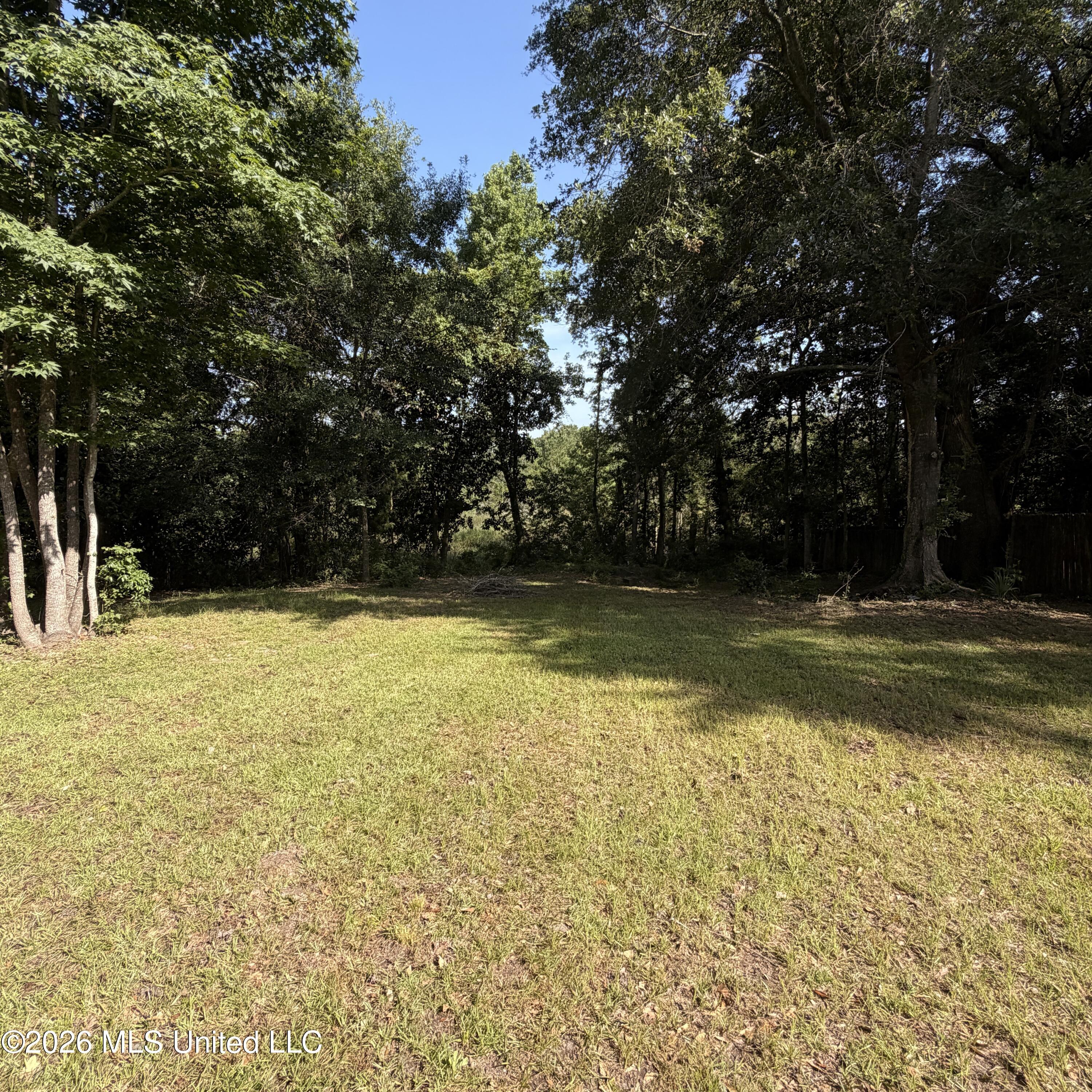 Image 4: D'Iberville, MS