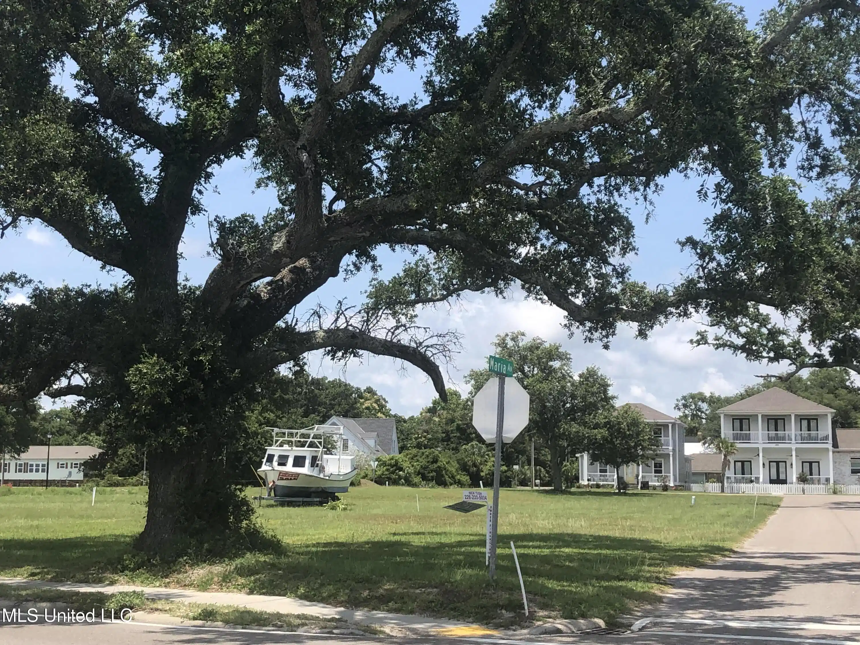 Image 1: PHOTO #5 LOT