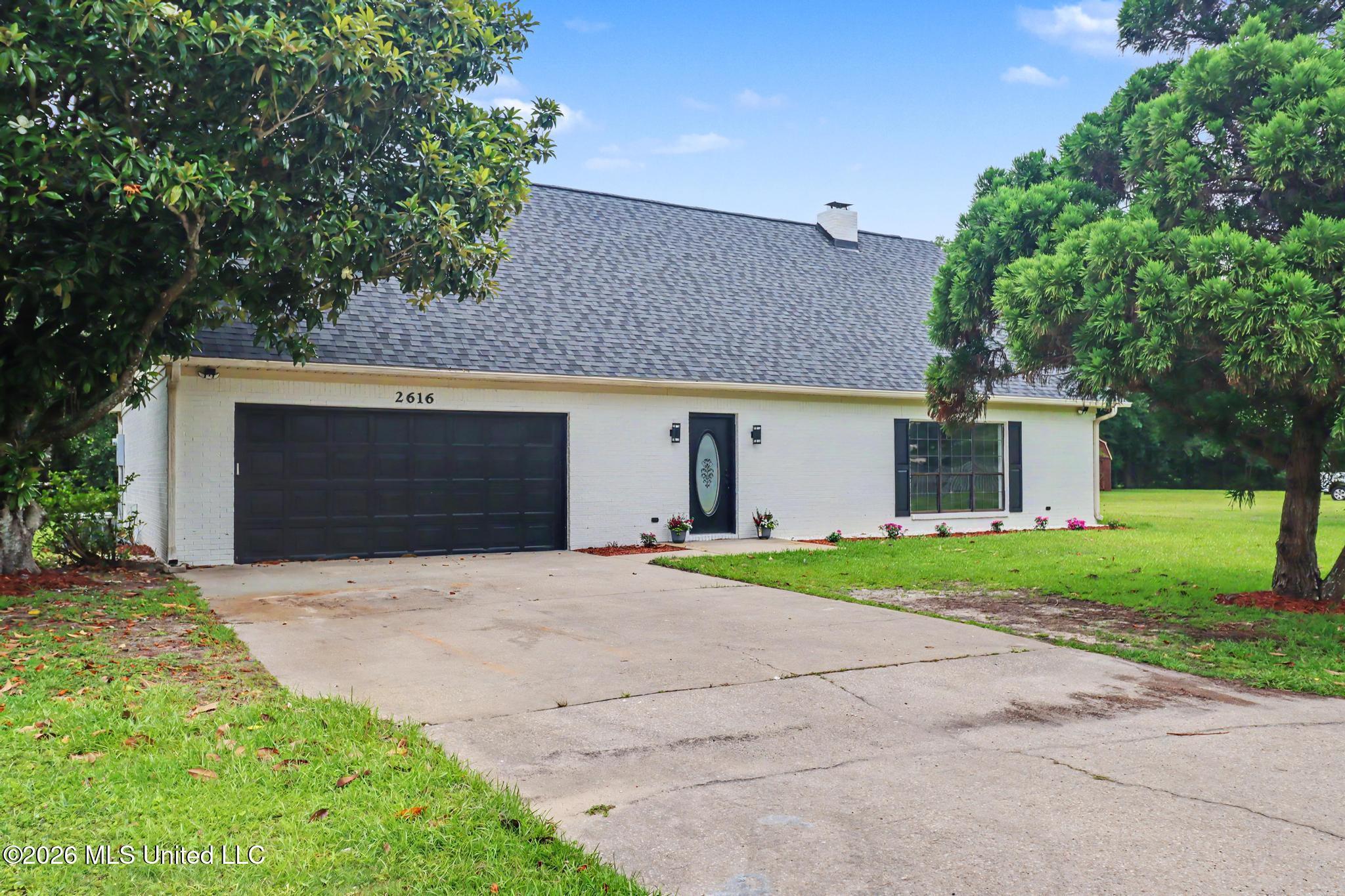 Image 2: IMG_6566