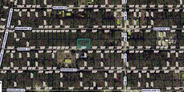Image 2: Screenshot 2025-05-15 5.31.03 PM