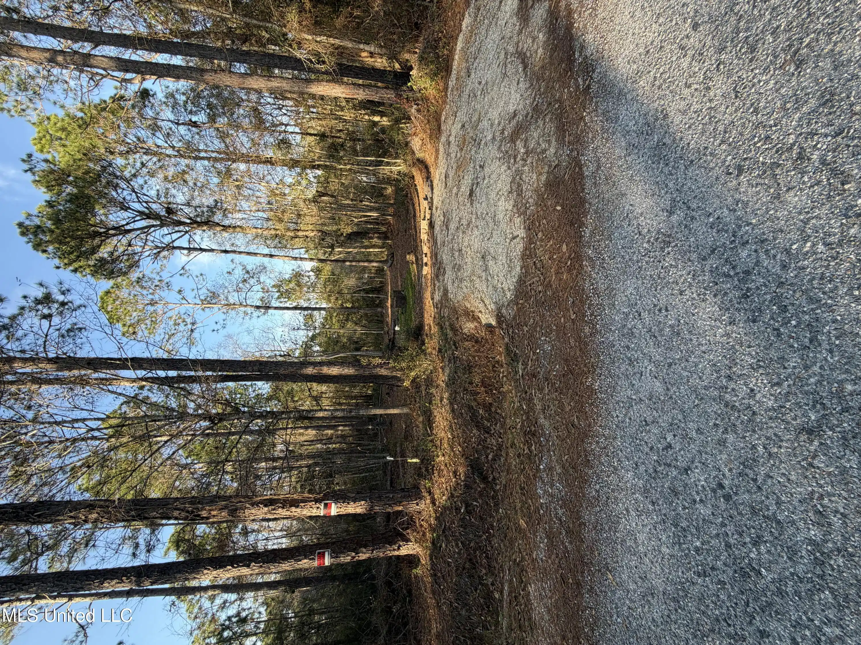 Image 1: Main Photo