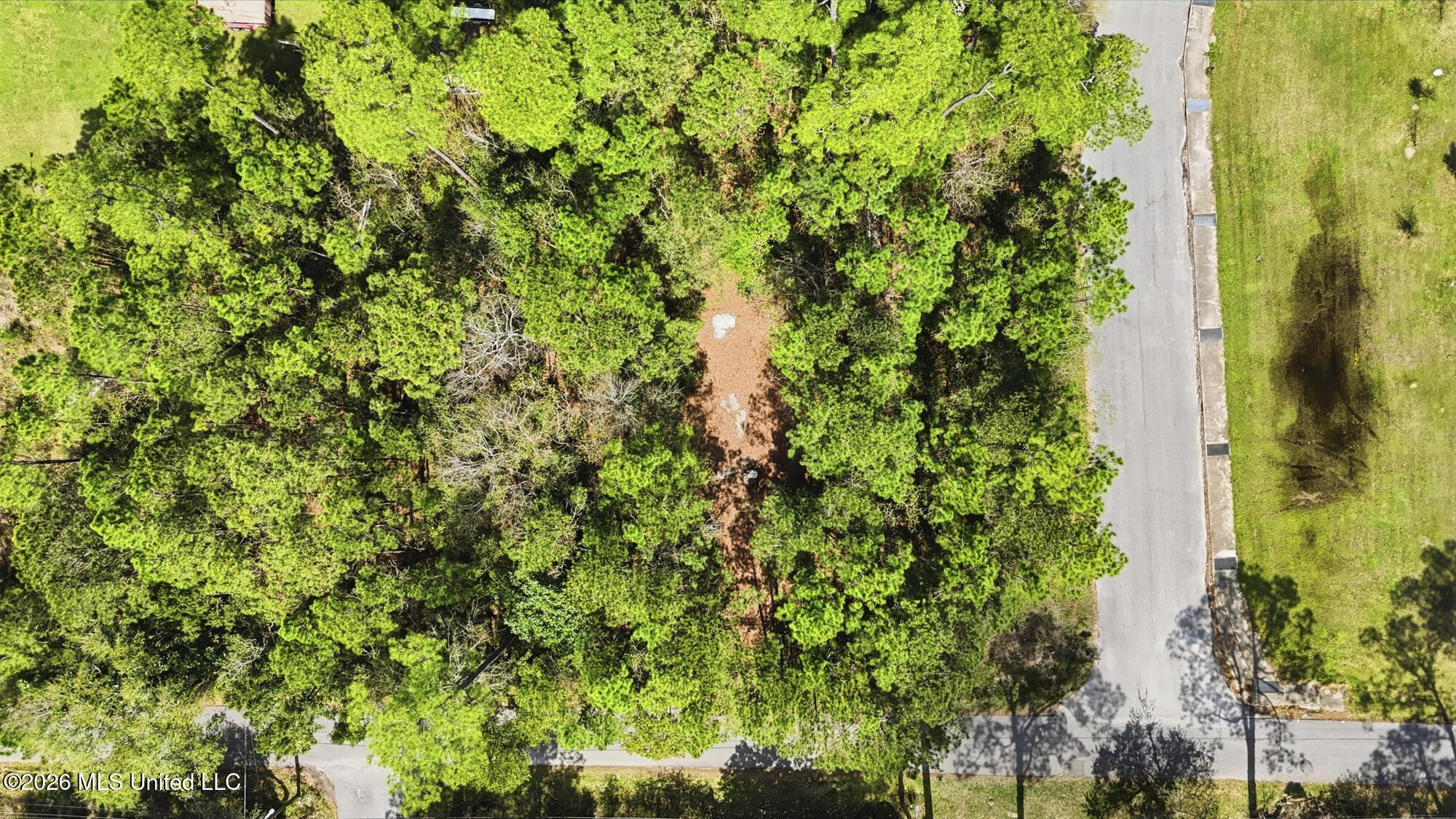Image 3: LOT 34