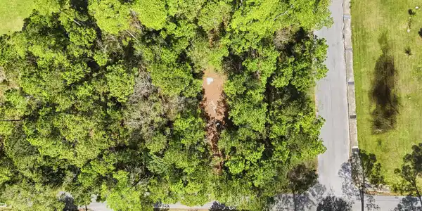Image 3: LOT 34