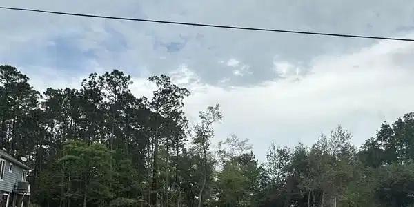 Birch Drive