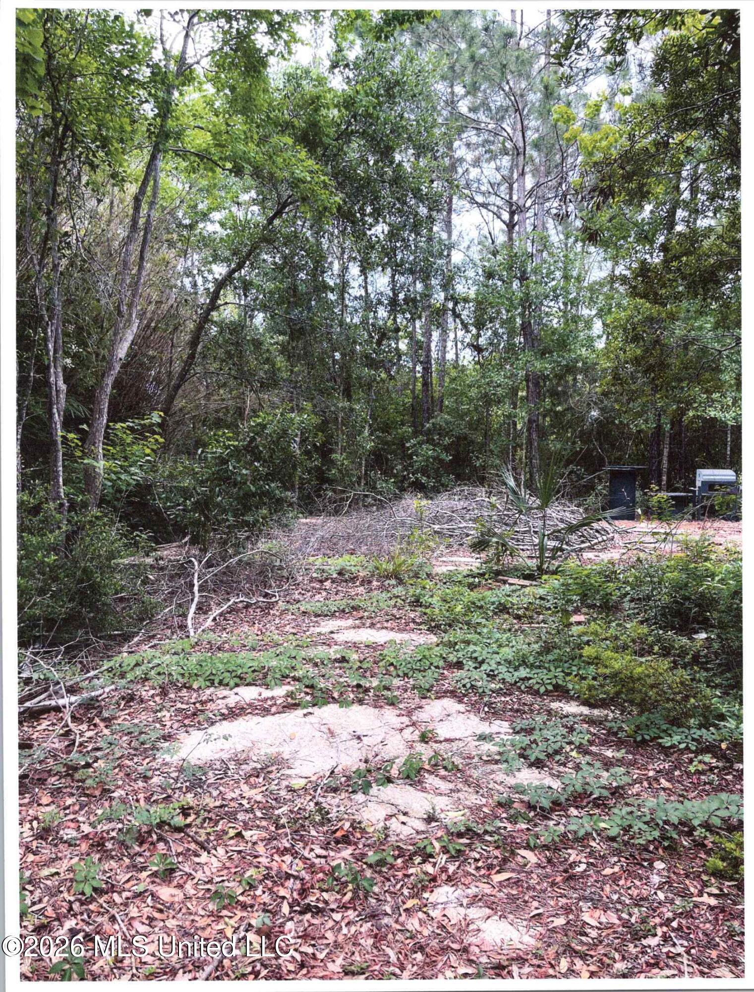 Image 1: 00
