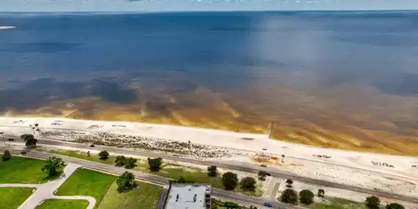Image 2: 4640W.BeachBlvd-52