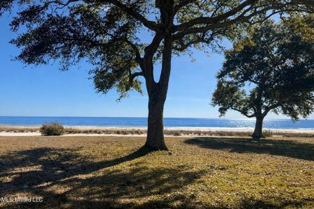 517 N Beach Boulevard