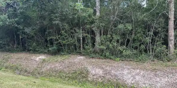 Jacksonville Drive