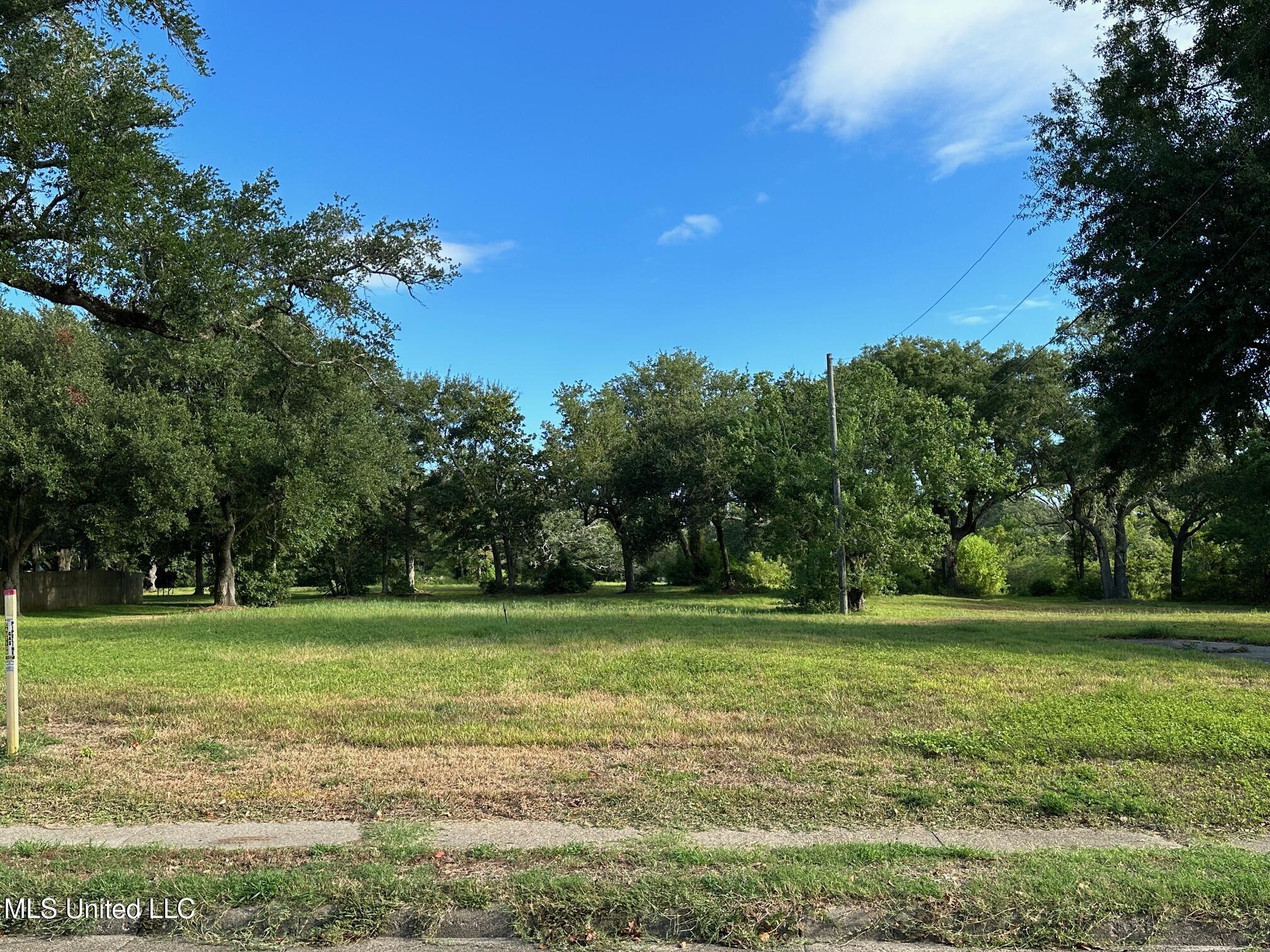 Image 1: Subject Lot