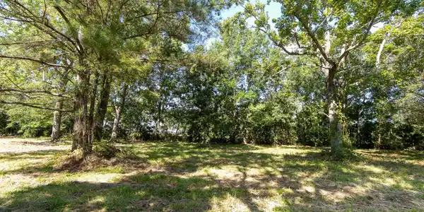 Image 3: _DSC5355