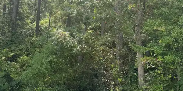High Ridge Drive