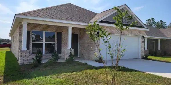 408 Sturnidae Cove
