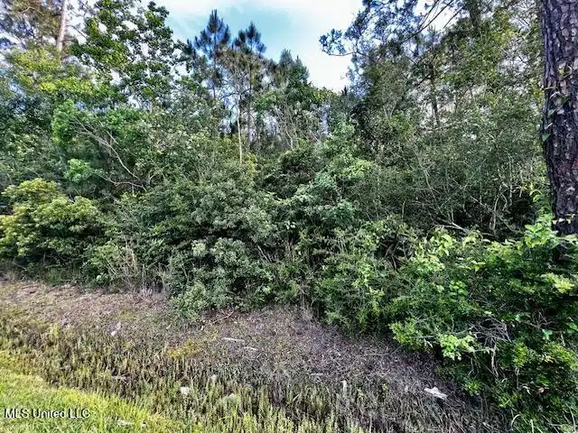 Image 1: Right boundary