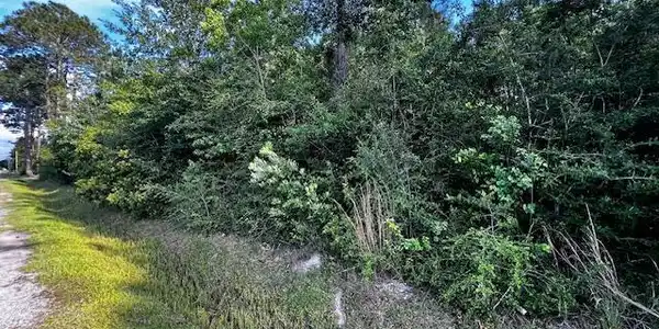 Image 2: Hogan St 2