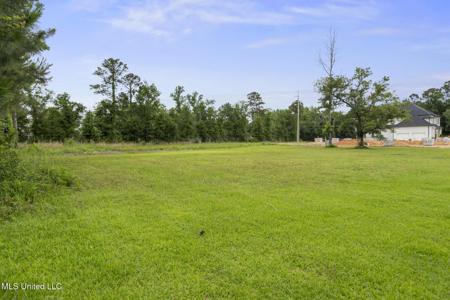 00 Savannah Estates Boulevard