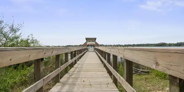 Image 2: ghubphoto_12