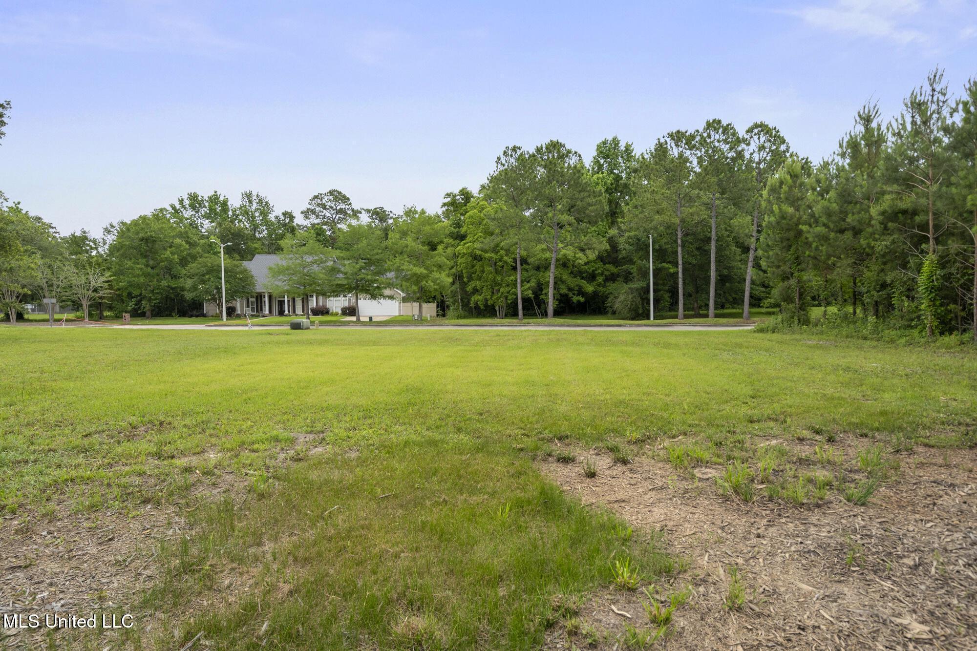 Image 4: ghubphoto_05