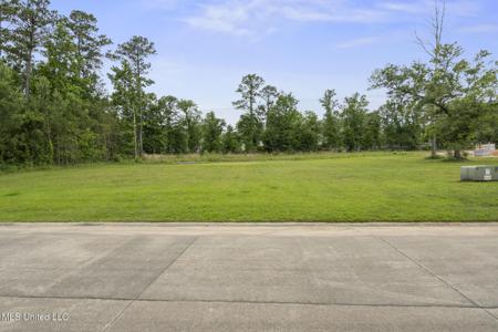 Savannah Estates Boulevard