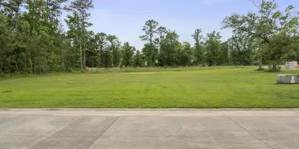Savannah Estates Boulevard