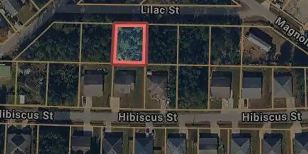 00 Lilac Street