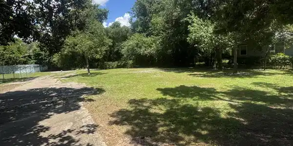 Image 3: IMG_0097
