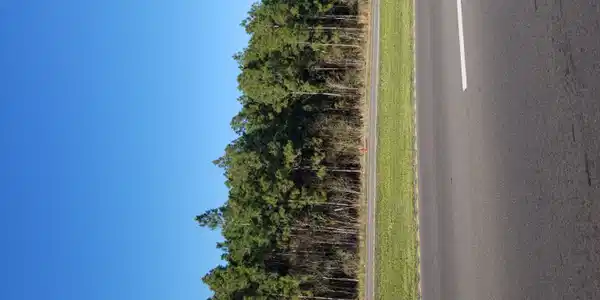 Bienville Boulevard