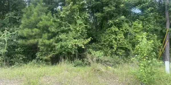 N Diamondhead Drive