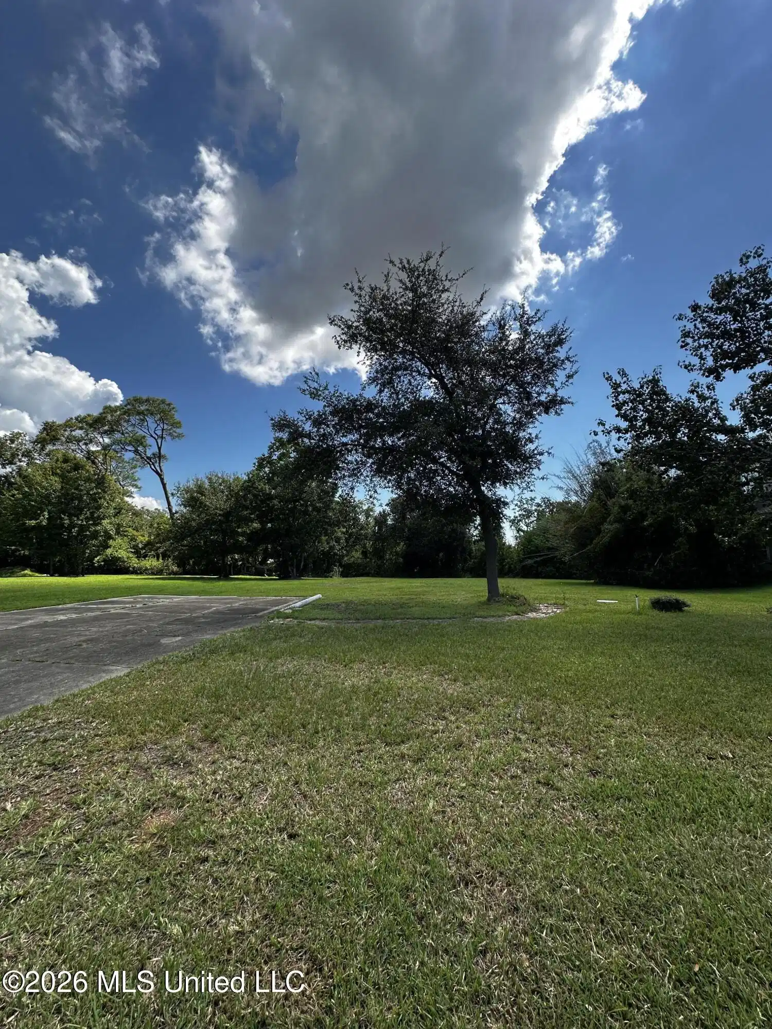 Image 1: Subject Lot Photo