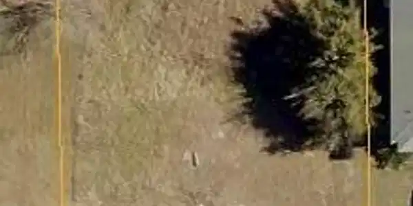 Image 2: Aerial Lot