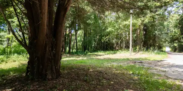 Image 2: DJI_0390-HDR