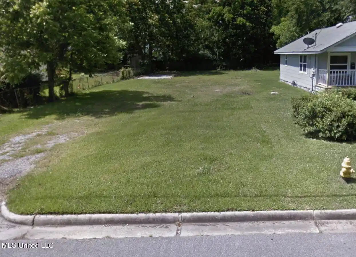 Image 1: Lot