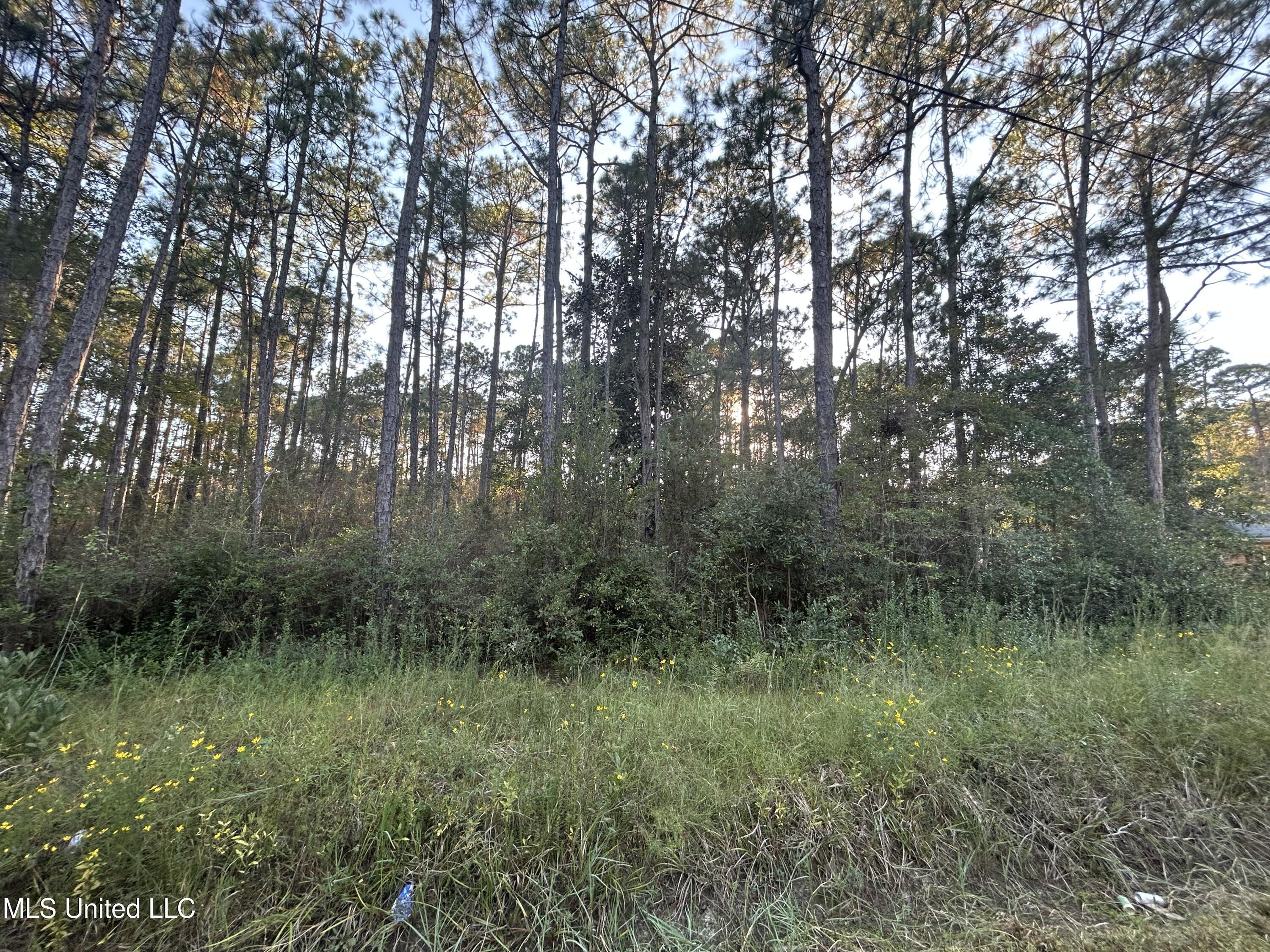 Image 4: Oak Street 2