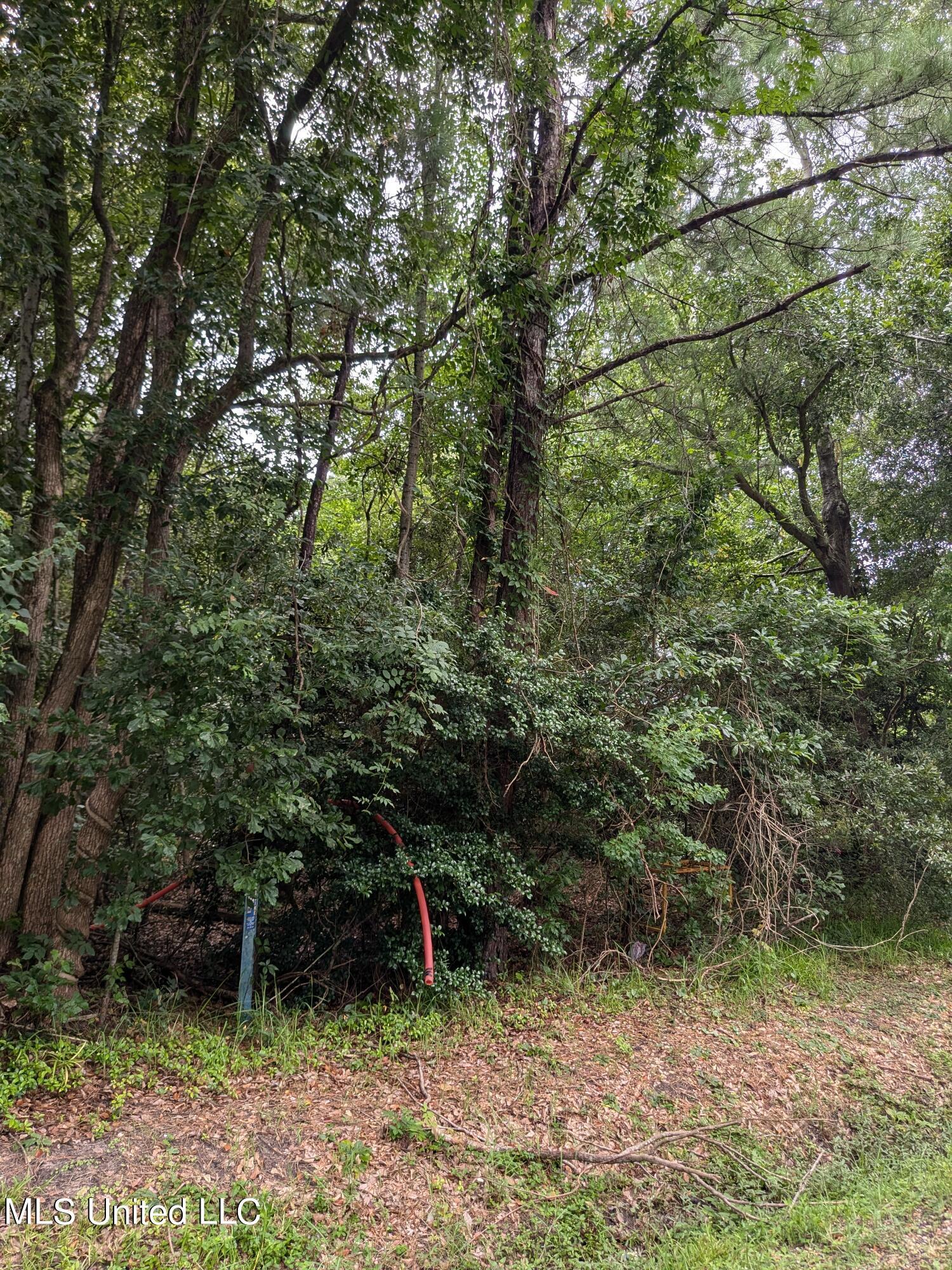 Image 4: PXL_20240712_183259590