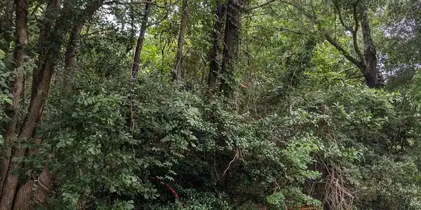 Image 4: PXL_20240712_183259590