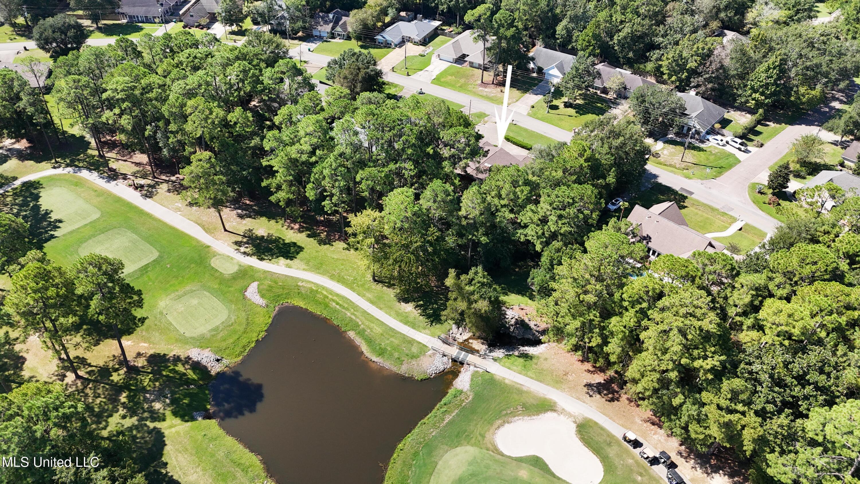 Image 4: On golf course