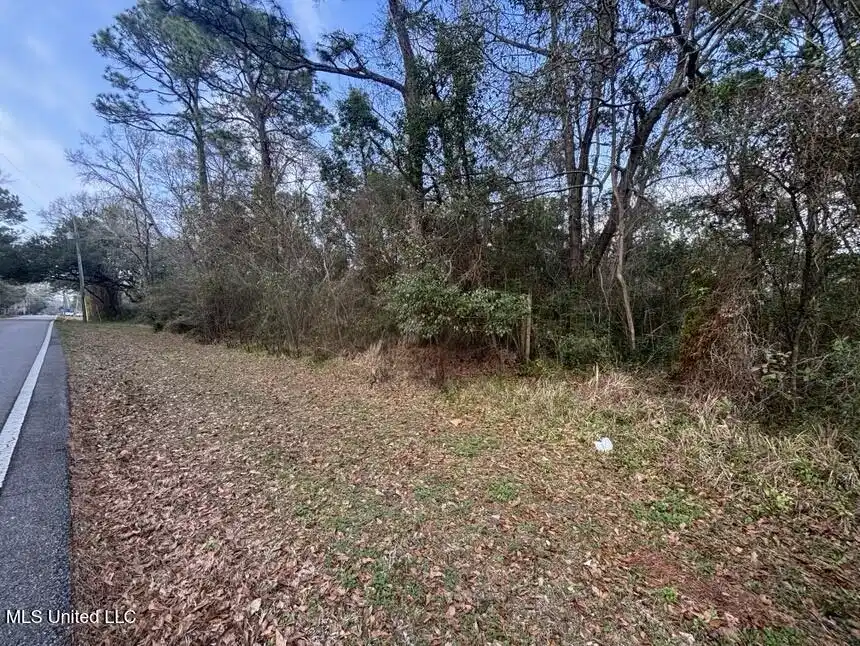 Image 1: photo for old spanish trail