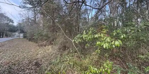 Image 2: old spanish trail 2