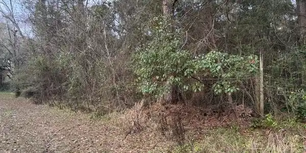 Image 4: old spanish trail 5