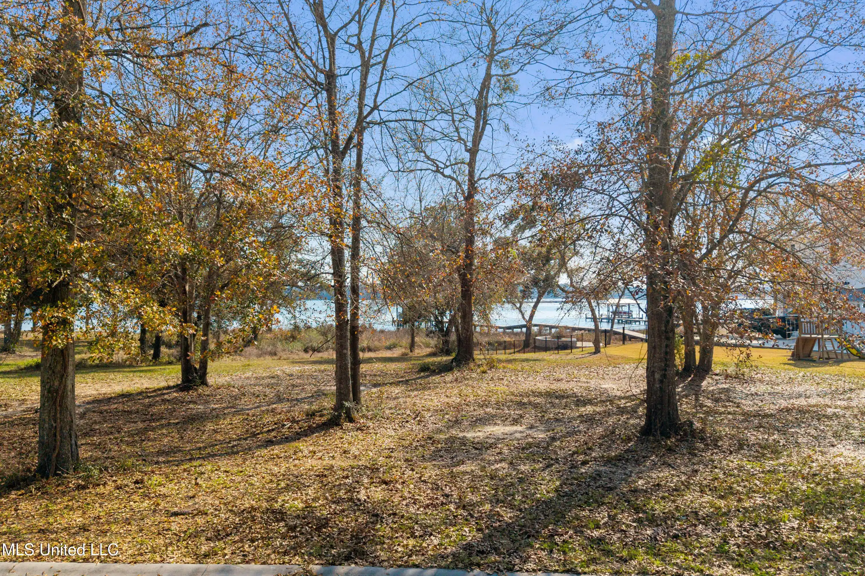Image 1: Lot